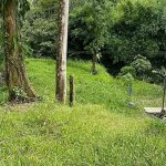 Lots for sale in Puntarenas