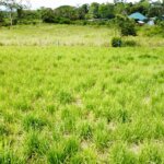 properties in Puntarenas