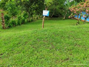 Terrenos en venta Upala de Alajuela