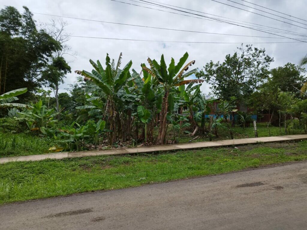 Propiedades en venta en Upala
