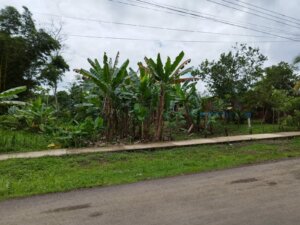 Properties for sale in Upala