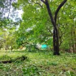 Venta de lotes en San Juan de Santa Cruz Guanacaste