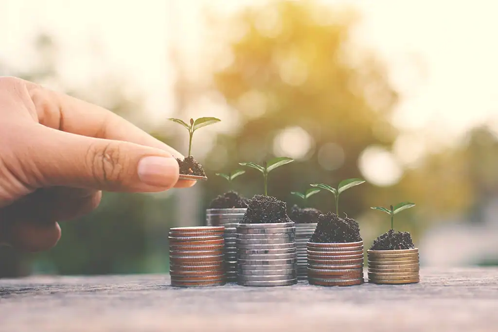 La importancia del ahorro