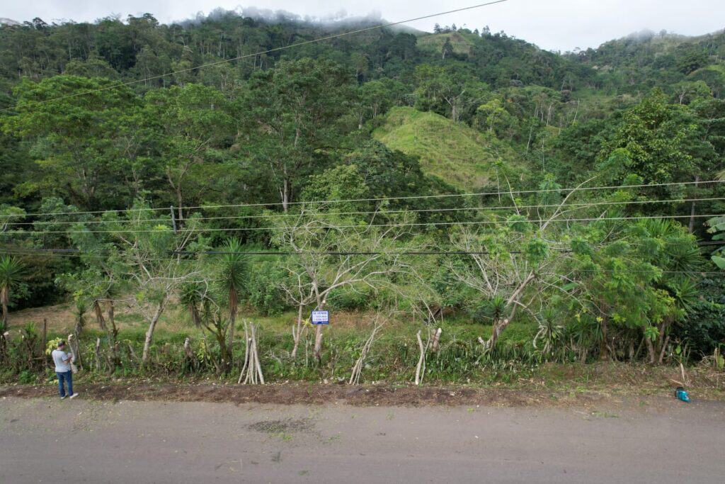 Foto 6 de Tuis, Turrialba, Cartago