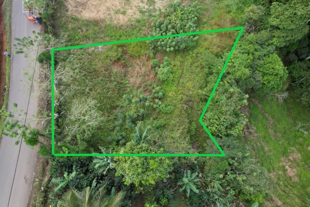 Foto 7 de Tuis, Turrialba, Cartago