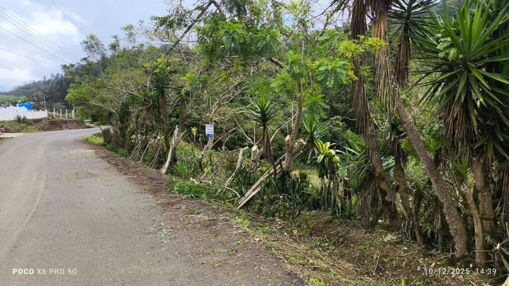 Foto 8 de Tuis, Turrialba, Cartago