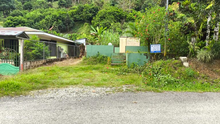 Guaycara, Golfito, Puntarenas