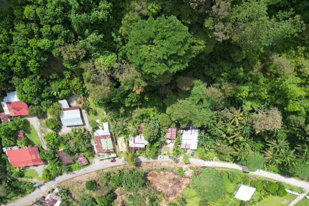 Foto 6 de Guaycara, Golfito, Puntarenas