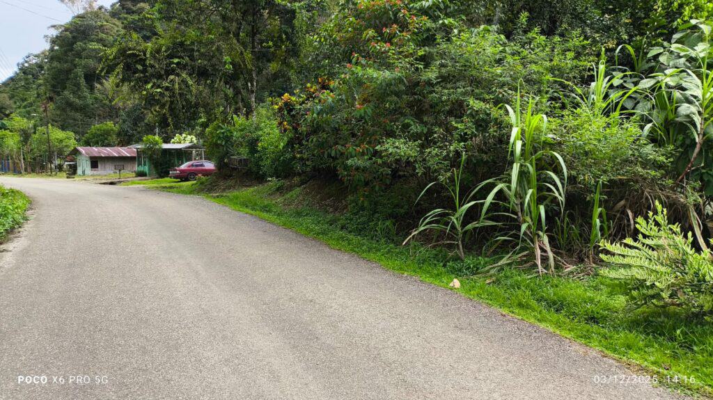 Foto 8 de Guaycara, Golfito, Puntarenas