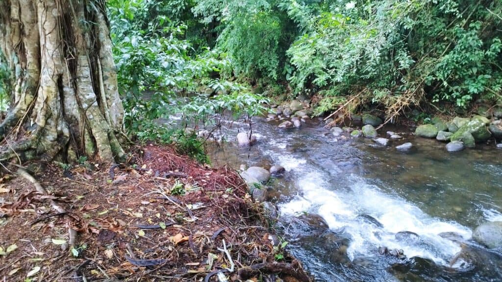 Foto 2 de Guapiles, Pococí, Limón