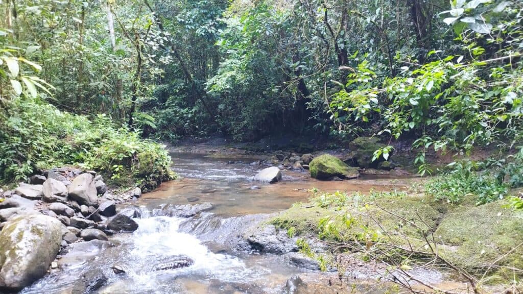 Foto 3 de Agua Buena, Coto Brus, Puntarenas