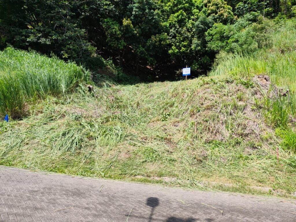 Foto 2 de Tárcoles, Garabito, Puntarenas