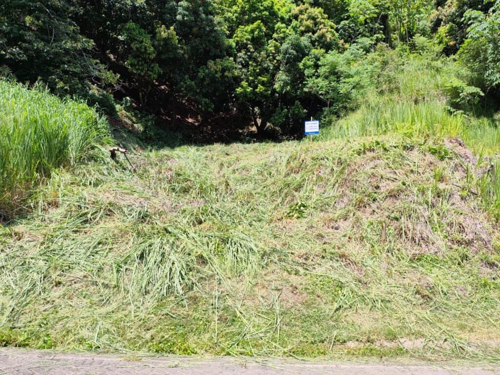 Foto 5 de Tárcoles, Garabito, Puntarenas