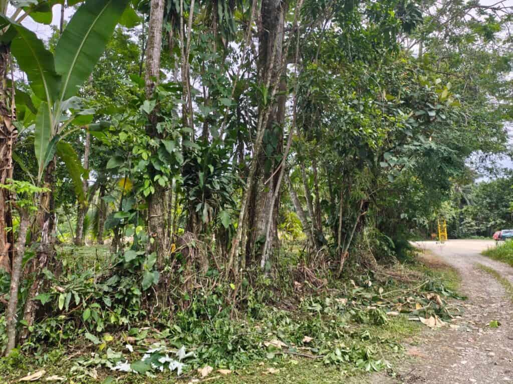 Foto 5 de Naranjito, Quepos, Puntarenas