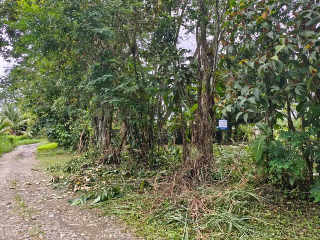 Foto 6 de Naranjito, Quepos, Puntarenas