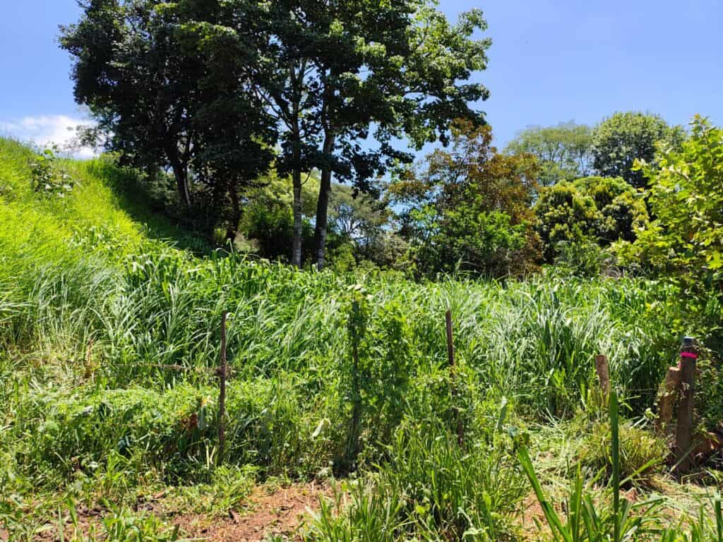 Foto 5 de Espíritu Santo, Esparza, Puntarenas