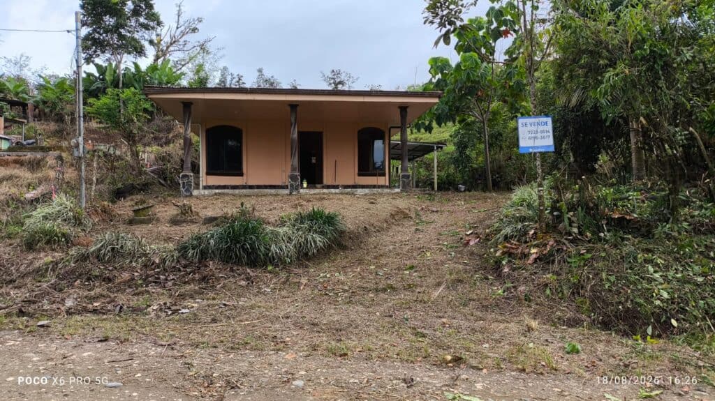 Foto 1 de Limoncillo, Coto Brus, Puntarenas